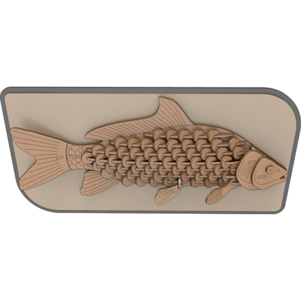 Trophy Carp