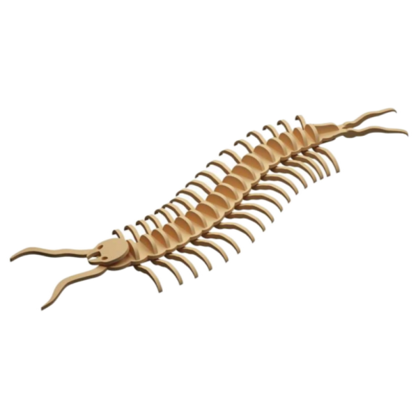 Centipede