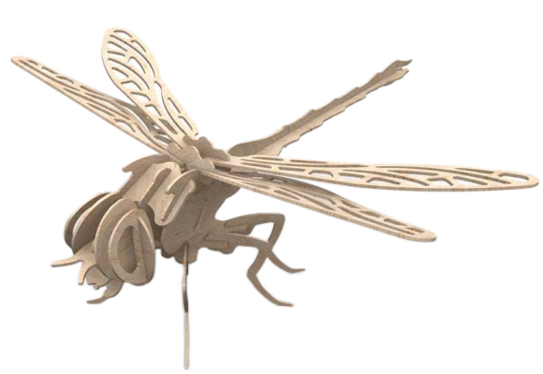 Dynamic Dragonfly