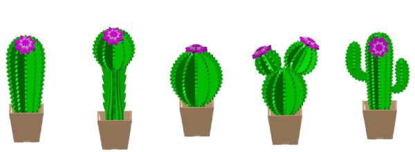 Cactus Set of 5