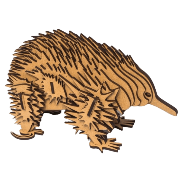 Echidna